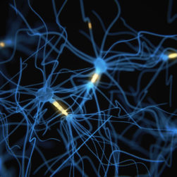 epilepsy training neurons