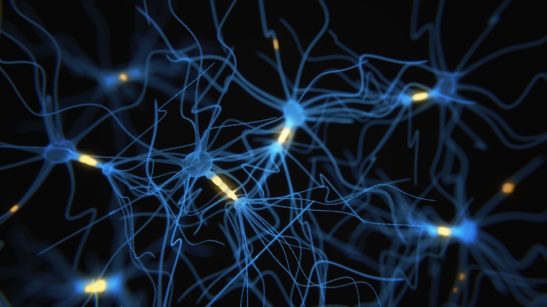 epilepsy training neurons